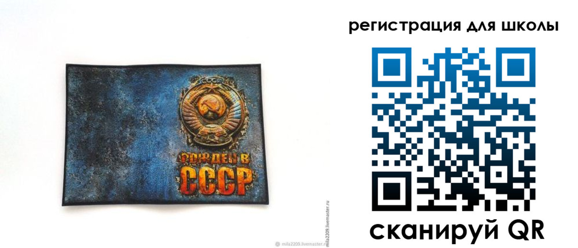 регистрация в Владивостоке